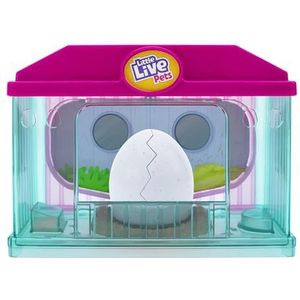 Little Live Pets Surprise Chick speelset, schattig, interactief kuiken met speelgoedbroedkast met neerklapbare wand en draaggreep