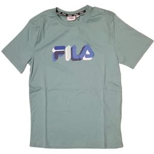 FILA Heren Blunk Regular Graphic T-shirt, beryl green, XS