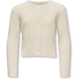 KIDS ONLY - KOGNATASCHA LS O-NECK CARD CP KNT NOOS - Vest - Birch