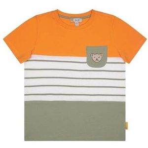 Steiff T-shirt met korte mouwen voor jongens, TEA, 122