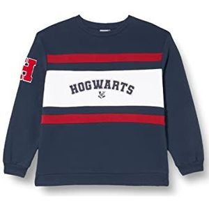 Harry Potter sweatshirt – donkerblauw – maat XS – gemaakt van 100% katoen, 240 g/m², Hogwarts-print, origineel product, ontworpen in Spanje