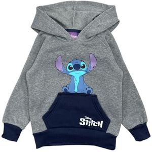 Disney Lilo & Stitch Sweatshirt met capuchon voor jongens, Grijs, 24 Maanden