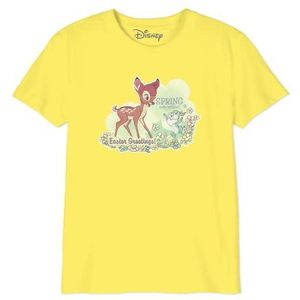 Disney Bambi Spring Into Action Easter BODBAMBTS002 T-shirt voor jongens, flessengroen, maat 06 jaar, Fles Groen, 6 Jaren