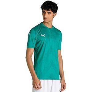 PUMA Jersey merk model TeamGLORY Jersey