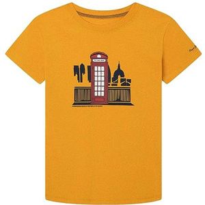 Pepe Jeans Niel Tee T-shirt voor dames, geel (Ochre Yellow), 8 Jahre