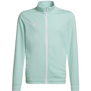 adidas - Entrada 22 - Jack - Unisex - Zwart - Synthetisch
