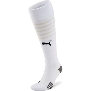 PUMA TeamFINAL steunen