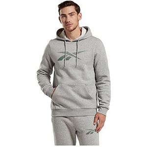 Reebok Ri fleece hoodie sweatshirt voor heren