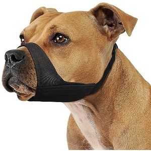Snuit Van Verschillende Rassen Van Honden Hond Van De Rassensint Bernard Golden Retriever Doberman Dalmatische Vastgestelde Inzameling Image119552114