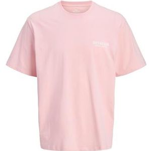 JACK & JONES Jorbotaniq Tee Ss Crew Neck Tg Pls, Tickled Pink, 4XL