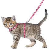 Alfriy tuigje voor kittens + riem, 15-25 cm, 10 mm, gesorteerd