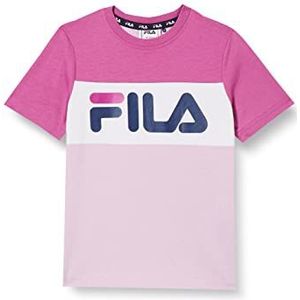 FILA Unisex Balimo Blocked T-shirt voor kinderen, Fair Orchid-Purple Orchid-Helder Wit, 110/116 cm