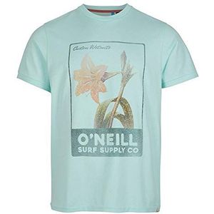 O'Neill Lm Surf Supply T-shirt voor heren
