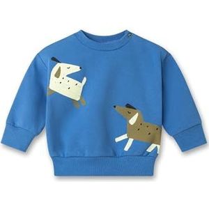 Sanetta Baby jongens sweatshirt lange mouwen pullover biologisch katoen, blue aqua, 80 cm