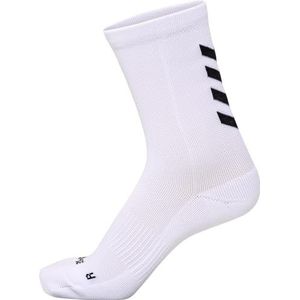 Oterra A/S hmlESSENTIAL TRAINING SOCKS