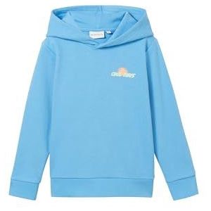 TOM TAILOR Sweatshirt voor jongens, 22501 - Japanse hemel, 128/134 cm