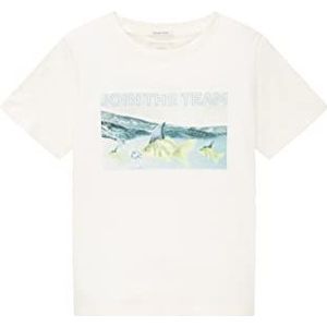 TOM TAILOR Jongens T-shirt 1035058, 12906 - Wool White, 116-122