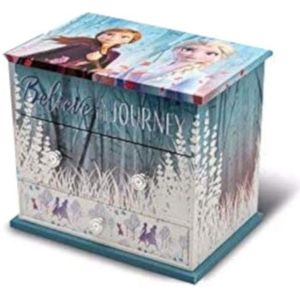 Bewaren van feestelijke ornamenten, meerkleurig frozen