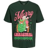 Jorholiday Cartoon Tee Ss Crew Neck, Sycamore, L