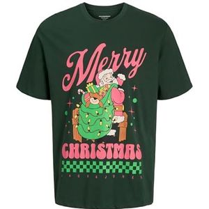 Jorholiday Cartoon Tee Ss Crew Neck, Sycamore, L