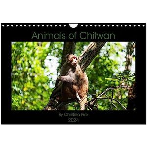 Animals of Chitwan (Wall Calendar 2024 DIN A4 landscape), CALVENDO 12 Month Wall Calendar: Experience the variety of wildlife in Chitwan National Park