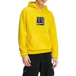 Karl Lagerfeld Jeans, Heren, Box Logo Hoodie, Regular Fit, Geel, M