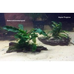 Aqua-Tropica AT-072 Nano-Plant Deporit - voedingsbodem voor aquaria tot 50 liter