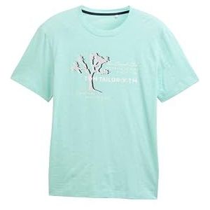 TOM TAILOR T-shirt voor heren, 37311 - Mint Green White Stripes, XL
