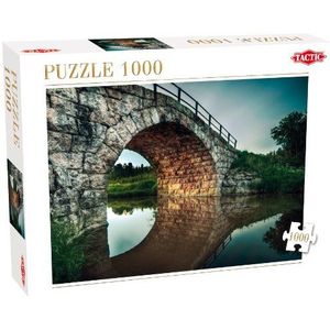 Puzzle Under the Bridge 1000