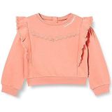 LEVI'S - Kids Ruffle Sweatshirt - Terra Cotta - Katoen