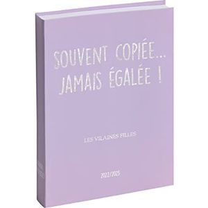 Exacompta - 187741E – dagkalender Forum Les Vilaines Girls – bedrukte en herziene envelop van karton – 12,5 cm x 17,5 cm – augustus 2022 tot juli 2023 – motief