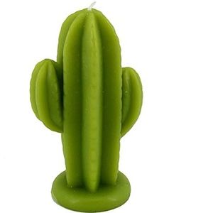Geurkaars cactus groen, other, medium
