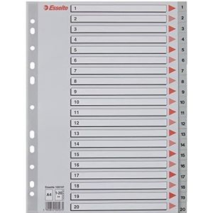 Leitz Esselte tabbladen voor A4, omslag van karton en 20 tabbladen van kunststof, tabbladen met cijferopdruk 1-20, overbreed, grijs, 100107