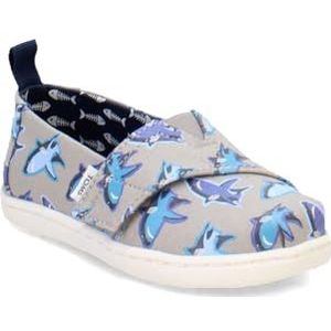 TOMS Jongens, Alpargata Tiny Slip-On - Peuter, Grijze gloed in de donkere haai, 5 Little Kid