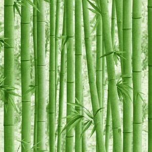 BUVU Vinylbehang 0,53 x 10 m bloemendecoratie, bamboe modern design, afwasbaar, groen