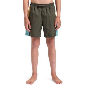 Quiksilver Shorts voor kinderen, druivenblad, 16 Jaren