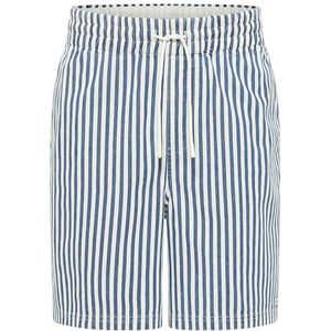 Style Lockport, Indigo Stripe 12612, S