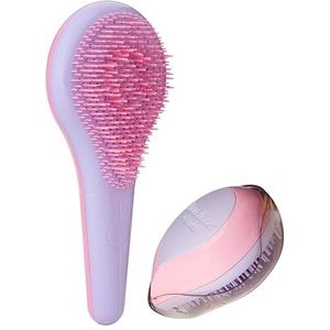Ontklitterset voor thuis en op reis, klassieke ontklitterborstel voor gezond haar, reisontklitterborstel vermindert kroezen en breuk, fijn haar, 2 stuks