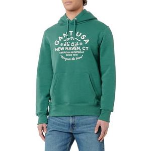 Graphic Hoodie, Woody Green, S