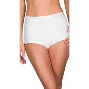 Shadowline Women's Plus Size Spandex Classic Brief, White, 2X
