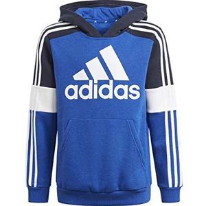 adidas Unisex Children's Fl Cb Hd Hoody