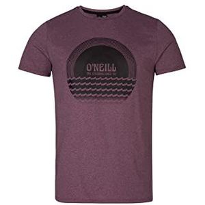O'NEILL Tees 13013 Shortsleeve Solar Hybrid T-shirt, regular (2-pack) voor heren