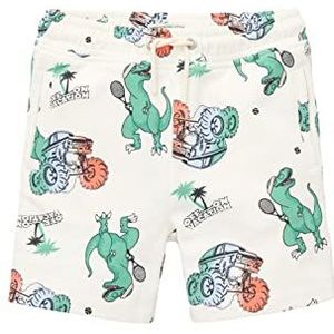 TOM TAILOR Joggingbroek voor jongens met patroon, 32249 - Dino Vacation Print, 128/134 cm