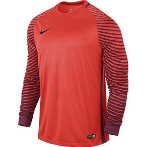 Nike Gogalkeeper Ls Jersey keepershirt voor heren
