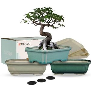FFPOPU Kleine keramische bonsaipotten met drainagebak, 3 plectrums 15 cm bonsaiboompot met ijsgebarsten glazuur, mini-bonsai plantenbak voor desktopdecoratie van dwergbomen, vetplanten en kleine