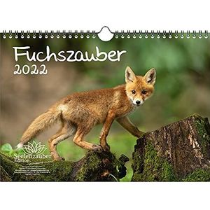 Seelenzauber Vossen Magie DIN A4 Kalender Voor 2022