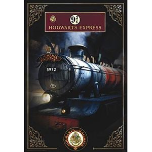 ABYstyle - Harry Potter - Poster Hogwarts Express (91,5 x 61) meerkleurig