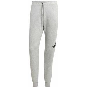 Adidas - Essentials Big Logo - Fleece Joggers - Grijs - Regular Man