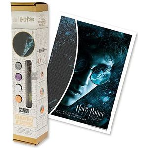 DIAMANTINY Harry Potter - Wizarding Art Medium De Prins Halfbloed - Kit voor mozaïek, Crystal Art, Diamond Painting, 1 canvas 30 x 40 cm, multicolor, 21062