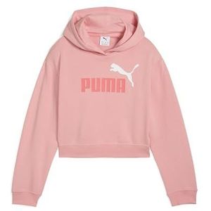 PUMA ESS 2 KLEUR Nr. 1 Logo Korte Lengte Hoodie TR G